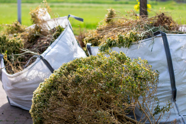 Best Junk Hauling Services  in Folly Beach, SC